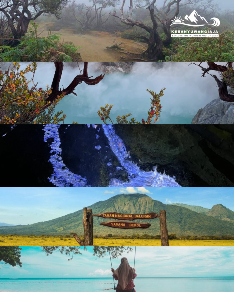 5 destinasi paket tour ijen baluran