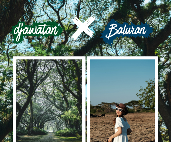 djawatan baluran 1 hari