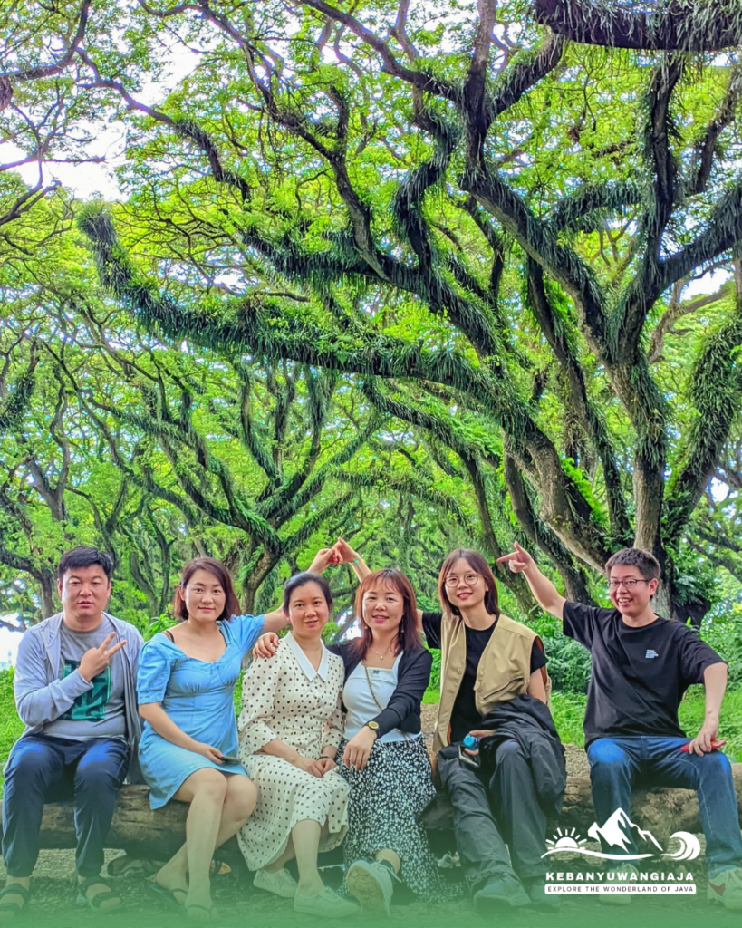 djawatan destinasi favorit