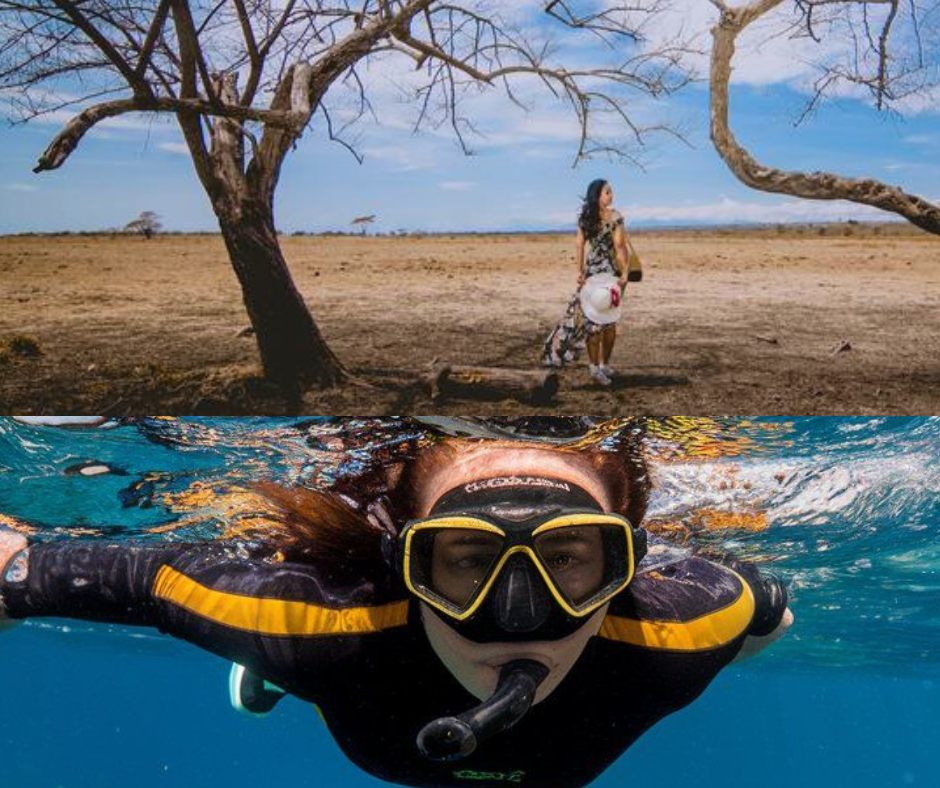 paket tour 1 hari bangsring underwater baluran