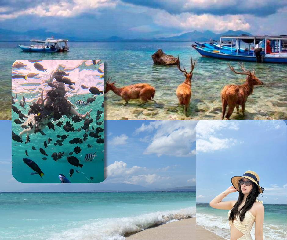 paket tour pulau tabuhan menjangan