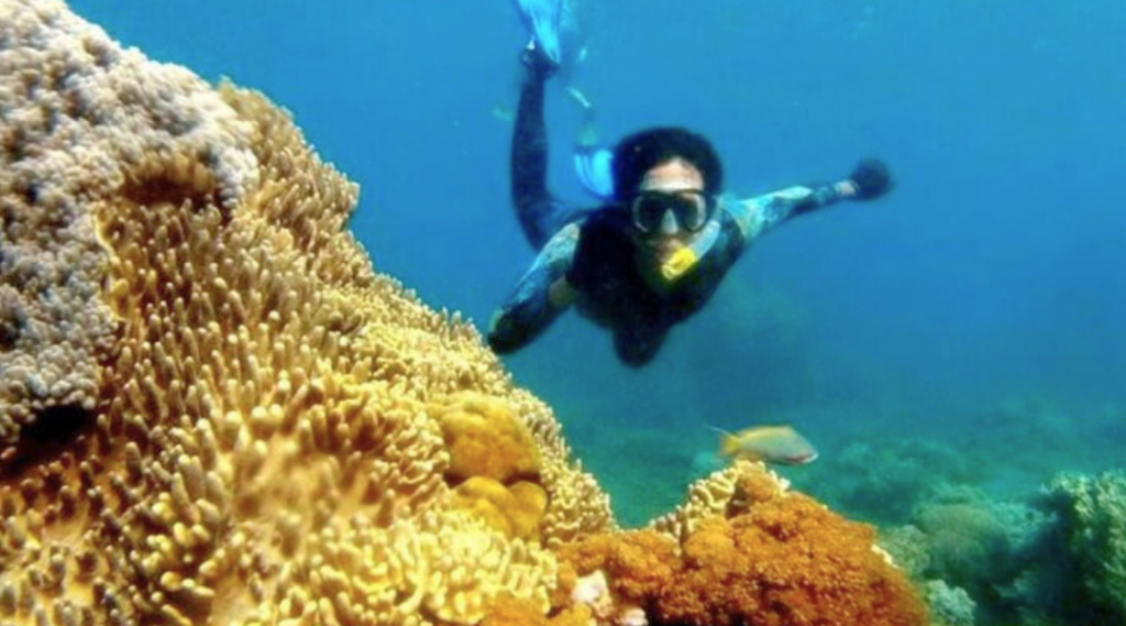 slideshow bangsring underwater 5