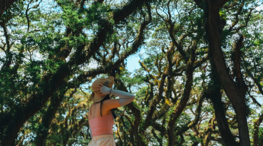 slideshow paket wisata de djawatan 1