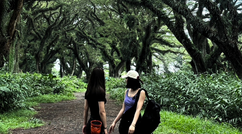 slideshow paket wisata de djawatan 5