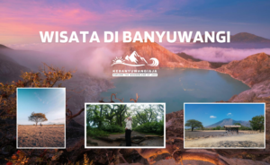 Banyuwangi Wisata