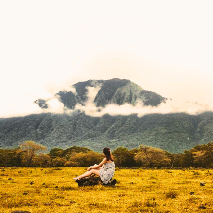 Taman Nasional Baluran Dengan Cantiknya Savana Yang Masih Alami