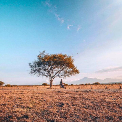 Taman Nasional Baluran