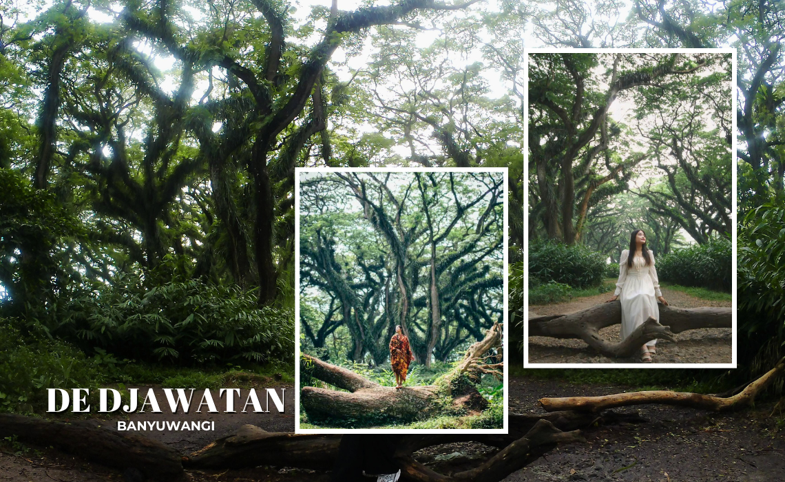 De Djawatan Banyuwangi