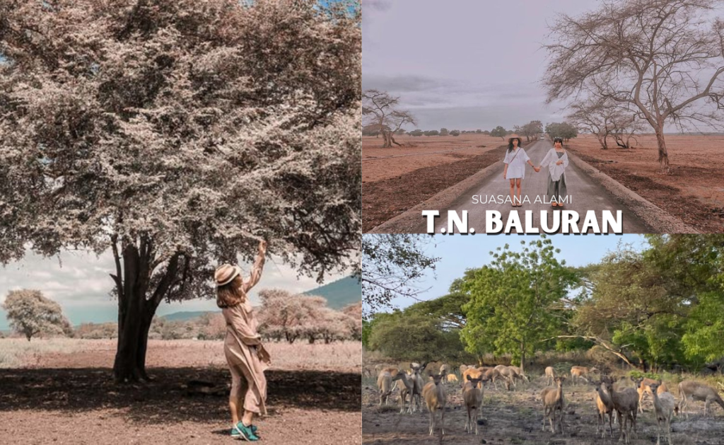 Taman Nasional Baluran