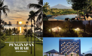 Penginapan Murah Di Banyuwangi