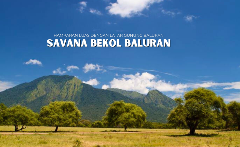 Savana Bekol Baluran